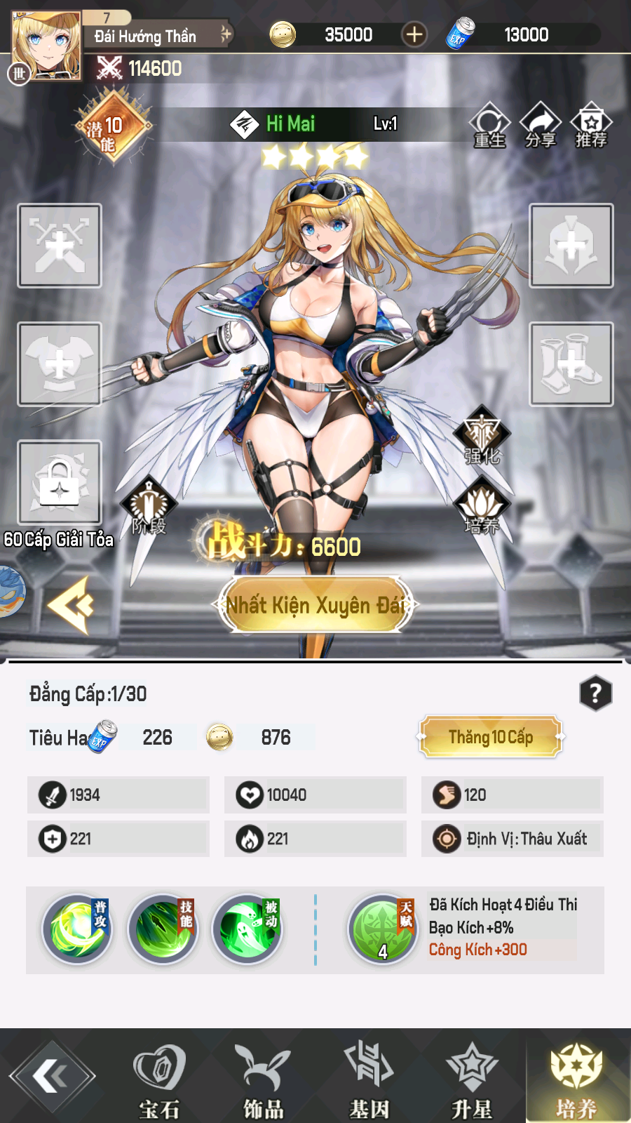 Liên Minh Hắc Ám Private Việt Hoá