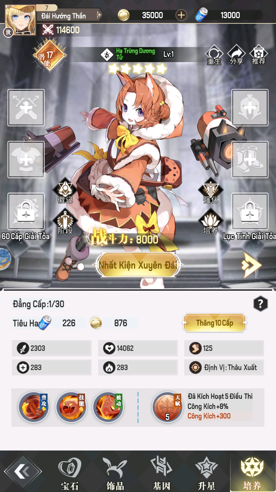 Liên Minh Hắc Ám Private Việt Hoá