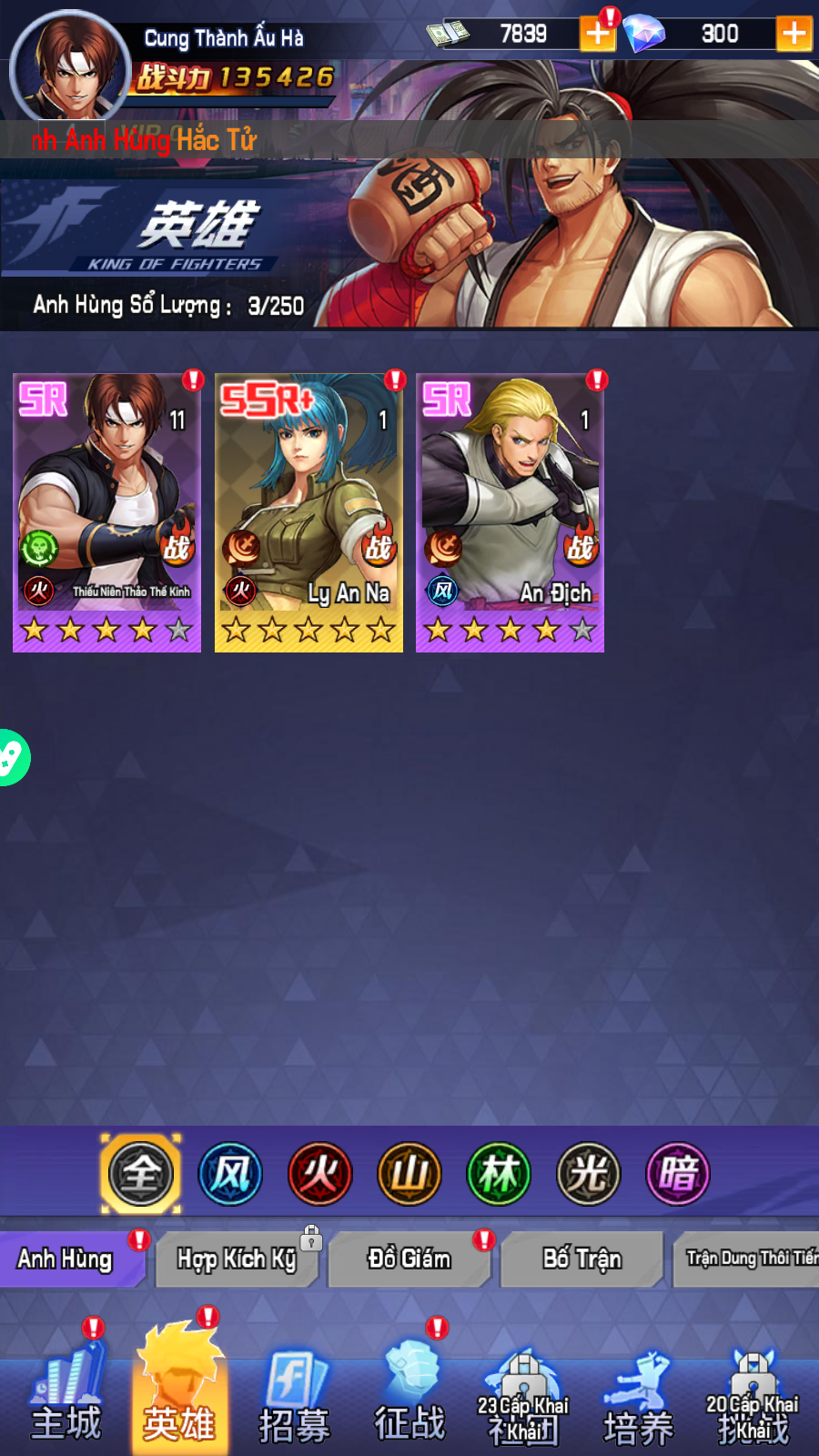 KOF - Hội Quán Đấu Sĩ Việt Hoá